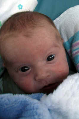 Paisley 115.jpg (426495 bytes)