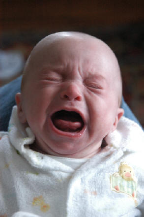 DSC_0104.JPG (6724643 bytes)