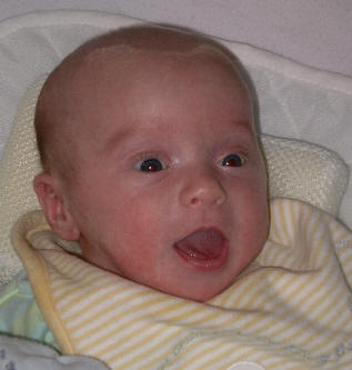 IMGP7698.JPG (16378 bytes)