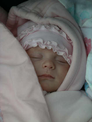 IMGP7708.JPG (329301 bytes)