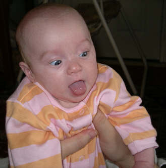 IMGP7822.JPG (453289 bytes)