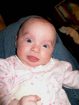 IMGP7872.JPG (294234 bytes)