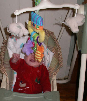 IMGP7921.JPG (338799 bytes)