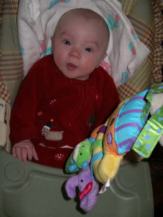 IMGP7932.JPG (382524 bytes)