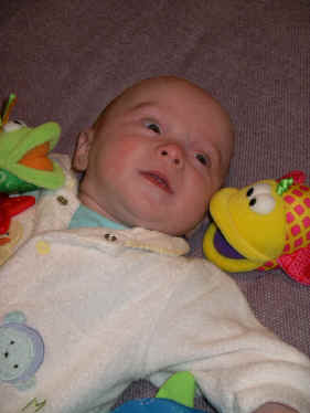 IMGP7983.JPG (351551 bytes)