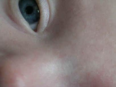 IMGP8002.JPG (456776 bytes)