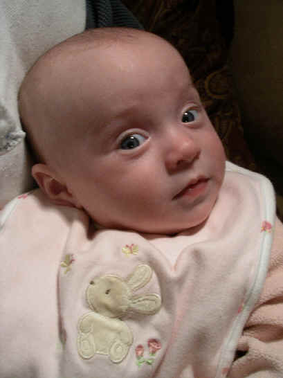 IMGP8081.JPG (451344 bytes)