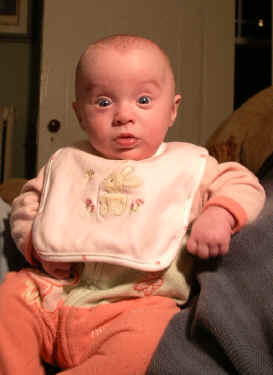 IMGP8143.JPG (443359 bytes)