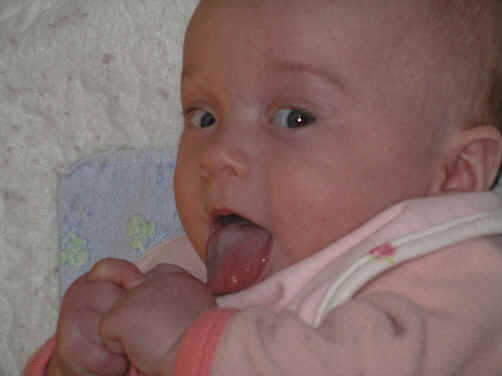 IMGP8174.JPG (518793 bytes)