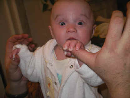 IMGP8224.JPG (467590 bytes)