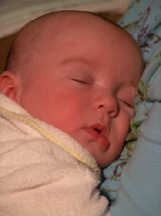 IMGP8239.JPG (467723 bytes)