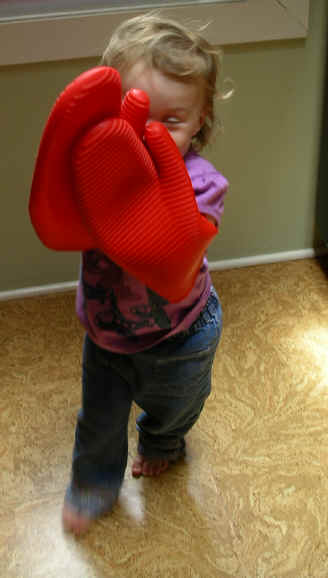 PJune06 003.jpg (1097785 bytes)