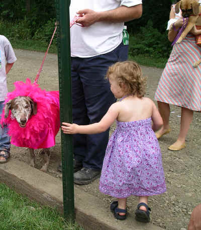 PJune06 123.jpg (1268831 bytes)