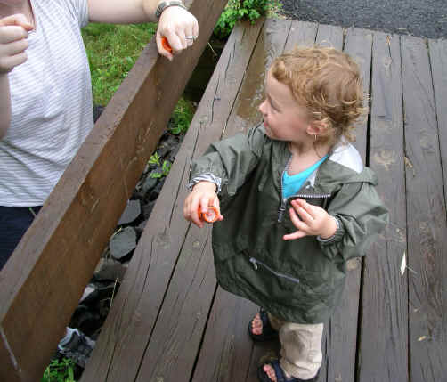 PJune06 210.jpg (1180933 bytes)