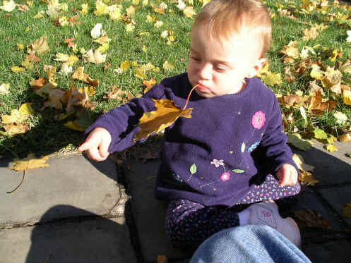 PaisleyN05 028.jpg (1328872 bytes)