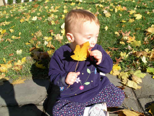 PaisleyN05 032.jpg (1372634 bytes)