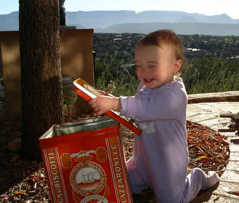 PaisleyN05 136.jpg (1189453 bytes)