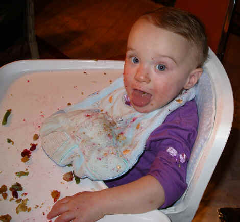 PaisleyN05 308.jpg (3119409 bytes)