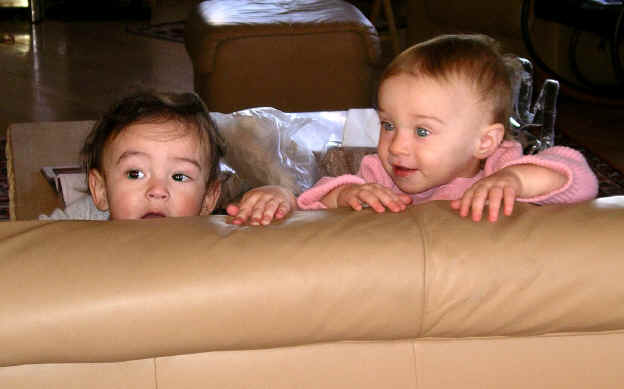 PaisleyN05 356a.jpg (631173 bytes)