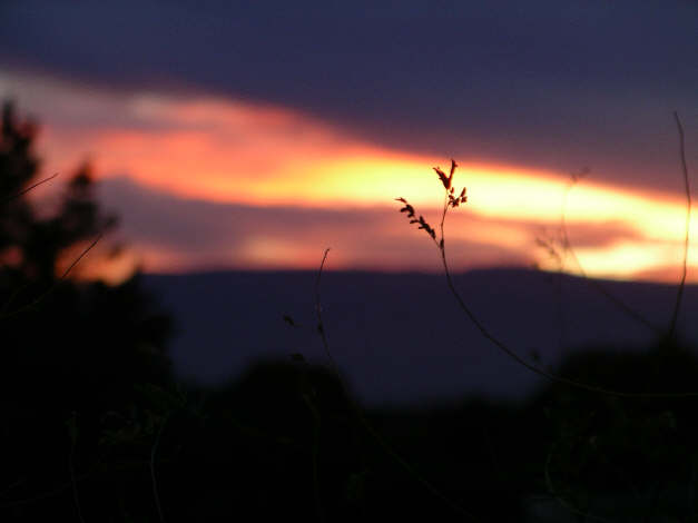 PaisleyN05 389.jpg (1221460 bytes)