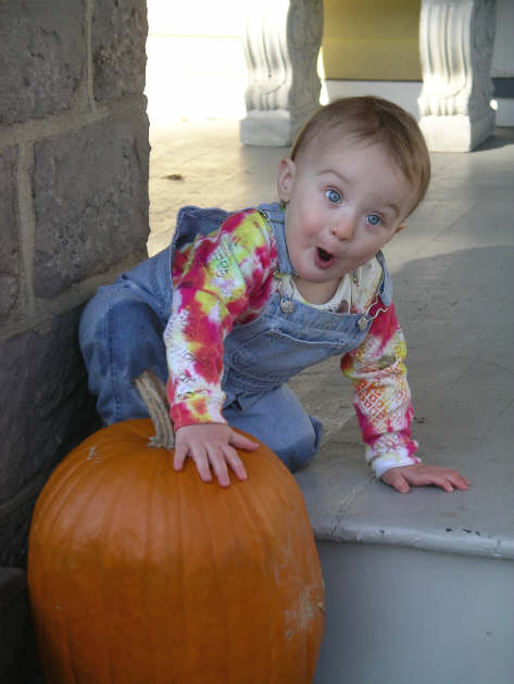 PaisleyN05 400.jpg (2221167 bytes)