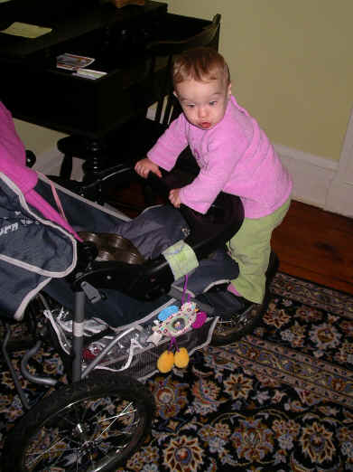 PaisleyO05 150a.jpg (672921 bytes)