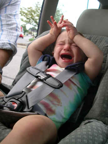 PaisleyO05 194.jpg (1113904 bytes)