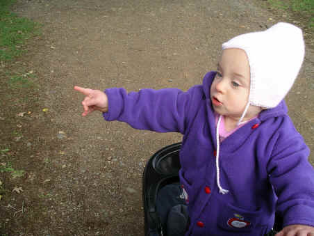 PaisleyO05 272.jpg (1236917 bytes)