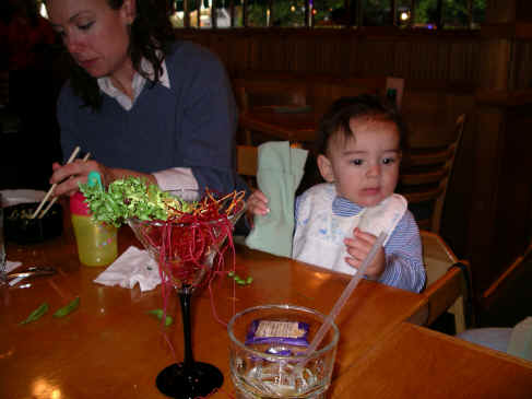 PaisleyO05 349.jpg (1362725 bytes)