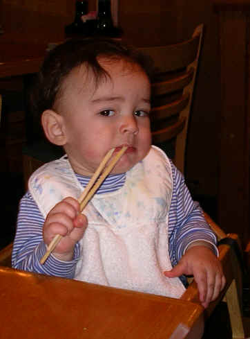 PaisleyO05 361.jpg (1317109 bytes)