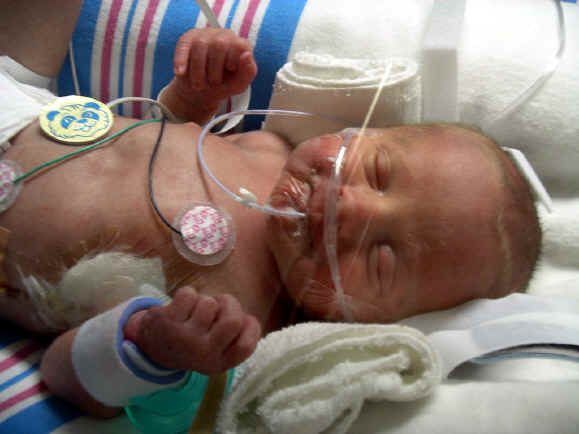 Paisley 039a.jpg (204239 bytes)