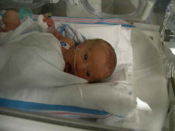 Paisley 047.jpg (484642 bytes)