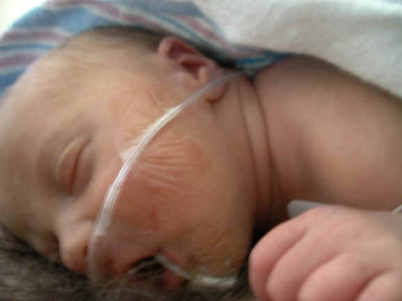 Paisley 068.jpg (2717991 bytes)