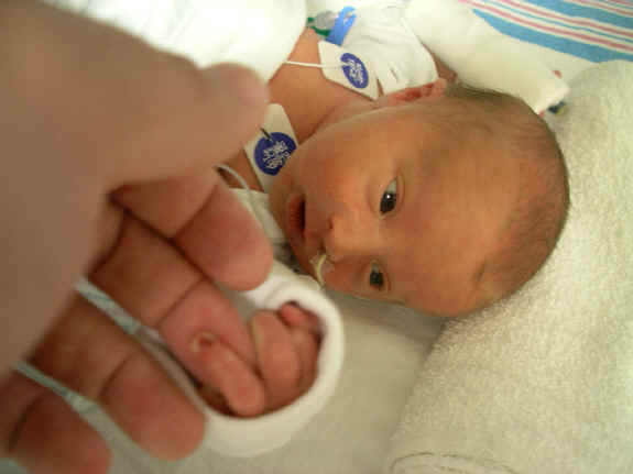 Paisley_111.jpg (17836 bytes)