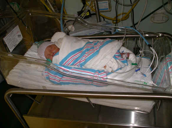 Paisley 128.jpg (378015 bytes)