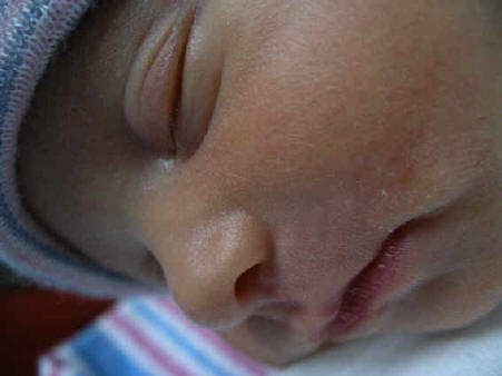 Paisley 256.jpg (522316 bytes)