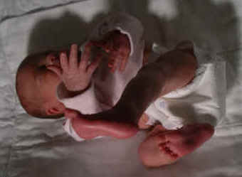 Paisley 278.jpg (478352 bytes)