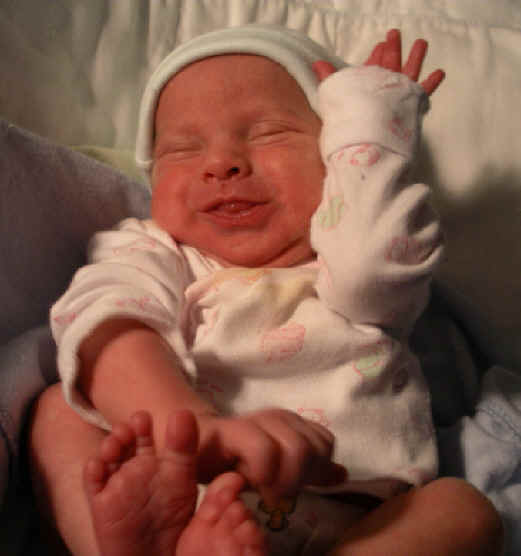 Paisley 350.jpg (436806 bytes)