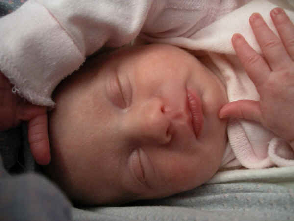 Paisley 374.jpg (495839 bytes)