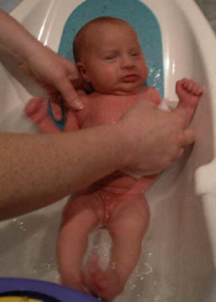 Paisley 433.jpg (441392 bytes)