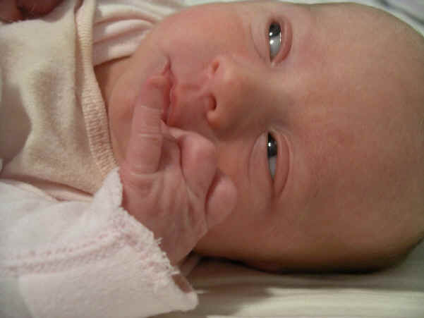 Paisley 549.jpg (474096 bytes)