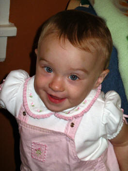 Paisley Fox.jpg (433534 bytes)