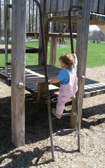 Paisleya06 279.jpg (2875327 bytes)