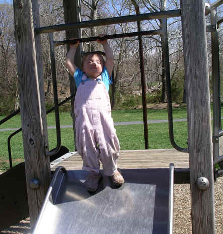 Paisleya06 290.jpg (3063680 bytes)