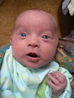 Paisleyd04 015.jpg (1041363 bytes)