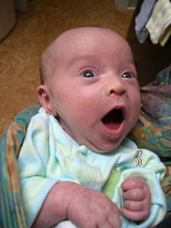 Paisleyd04 020.jpg (1069004 bytes)