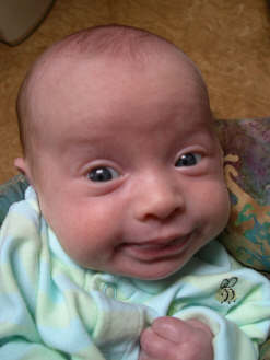 Paisleyd04 025.jpg (967995 bytes)