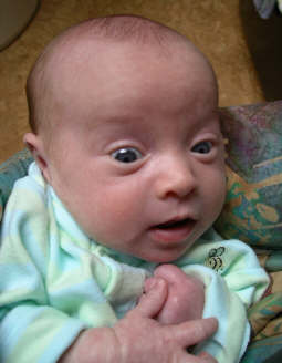 Paisleyd04 028.jpg (1019291 bytes)