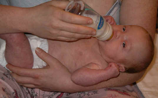 Paisleyd04 052.jpg (1176005 bytes)