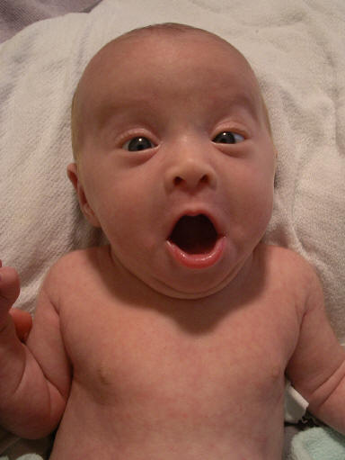 Paisleyd04 108.jpg (1153448 bytes)